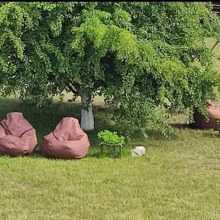 Сasa de vacaciones Saulegraza Poilsio Nameliai Sventojoje